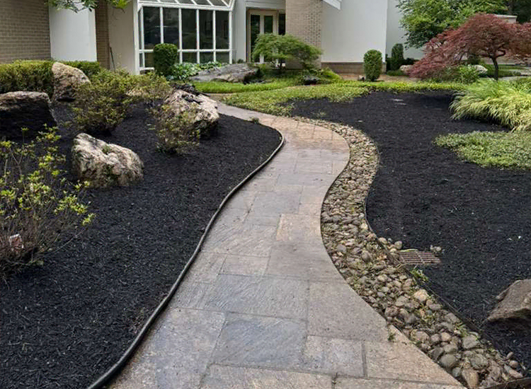 Professional Service Execution