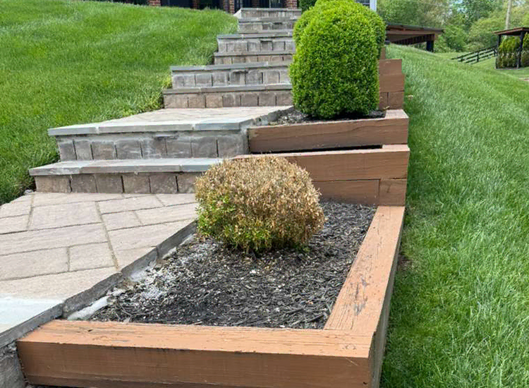 Final Review & Warranty Protection